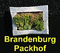 026 Brandenburg Packhof